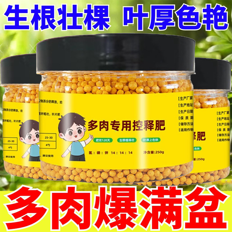 多肉控释肥料专用缓爆盆增