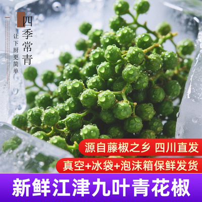 青花椒新鲜餐饮批发特麻真空江津直供九叶青花椒麻鲜藤椒保鲜商用