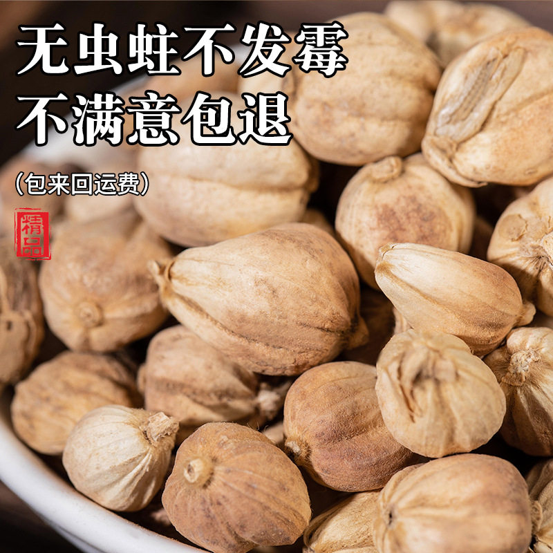 白蔻香料调料家用火锅底料卤料调味料香料批发佐料干卤料炖肉调味
