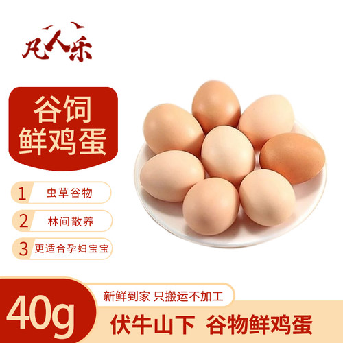 新鲜现捡凡人乐破损包赔