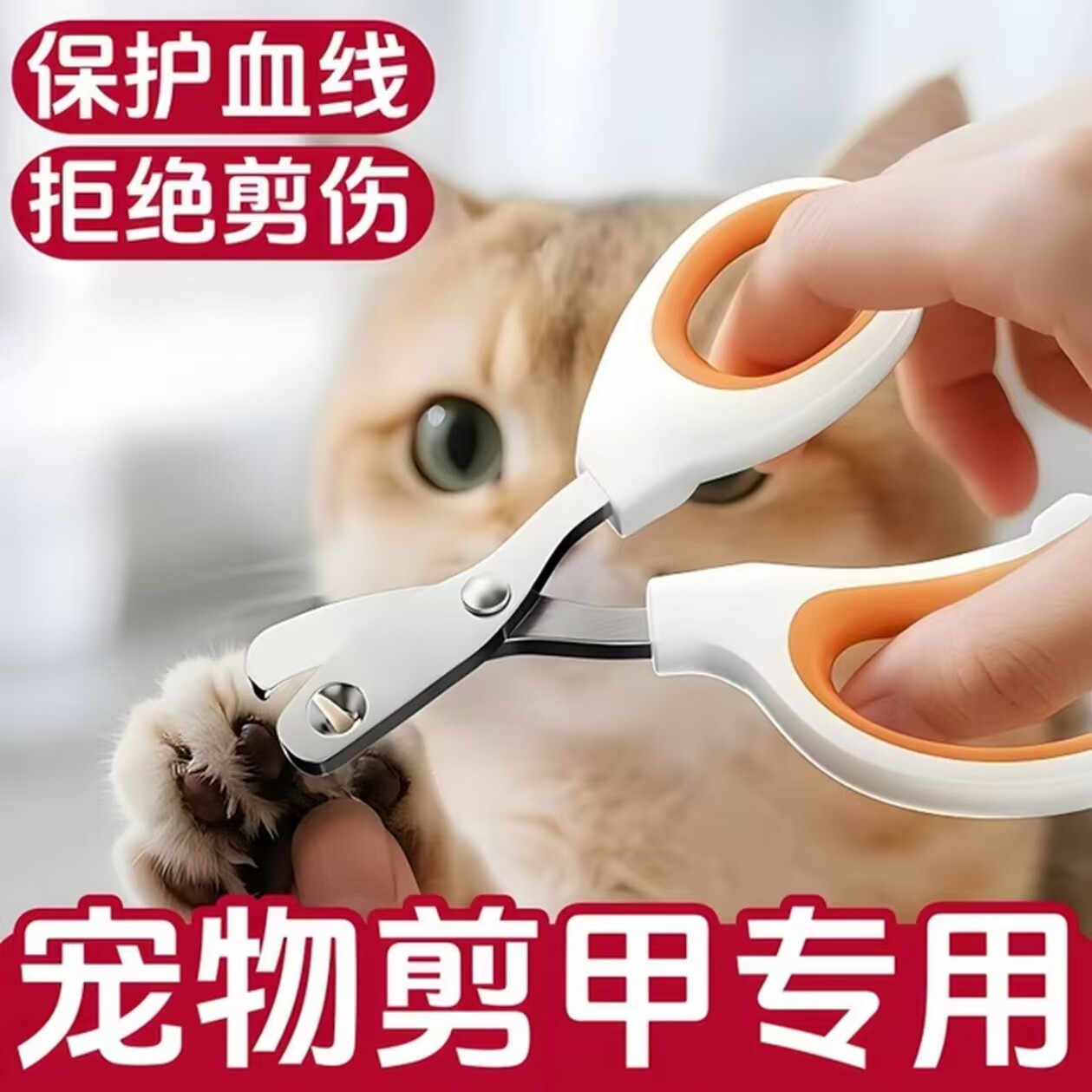 猫咪专用小盲指甲剪神器