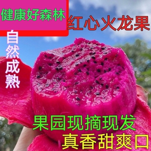 红火龙果红心超甜水果新鲜当季薄皮金都一号整箱红肉火龙果5斤装