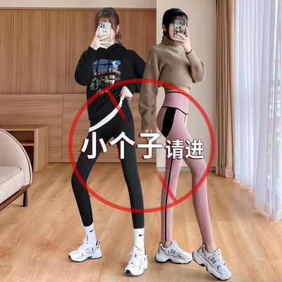 小个子加绒鲨鱼裤女裤收腹提臀