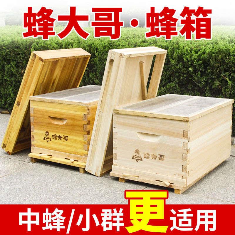 七框标准箱中蜂蜂箱小型7框杉木煮蜡蜜蜂蜂箱全套养蜂专用诱蜂箱