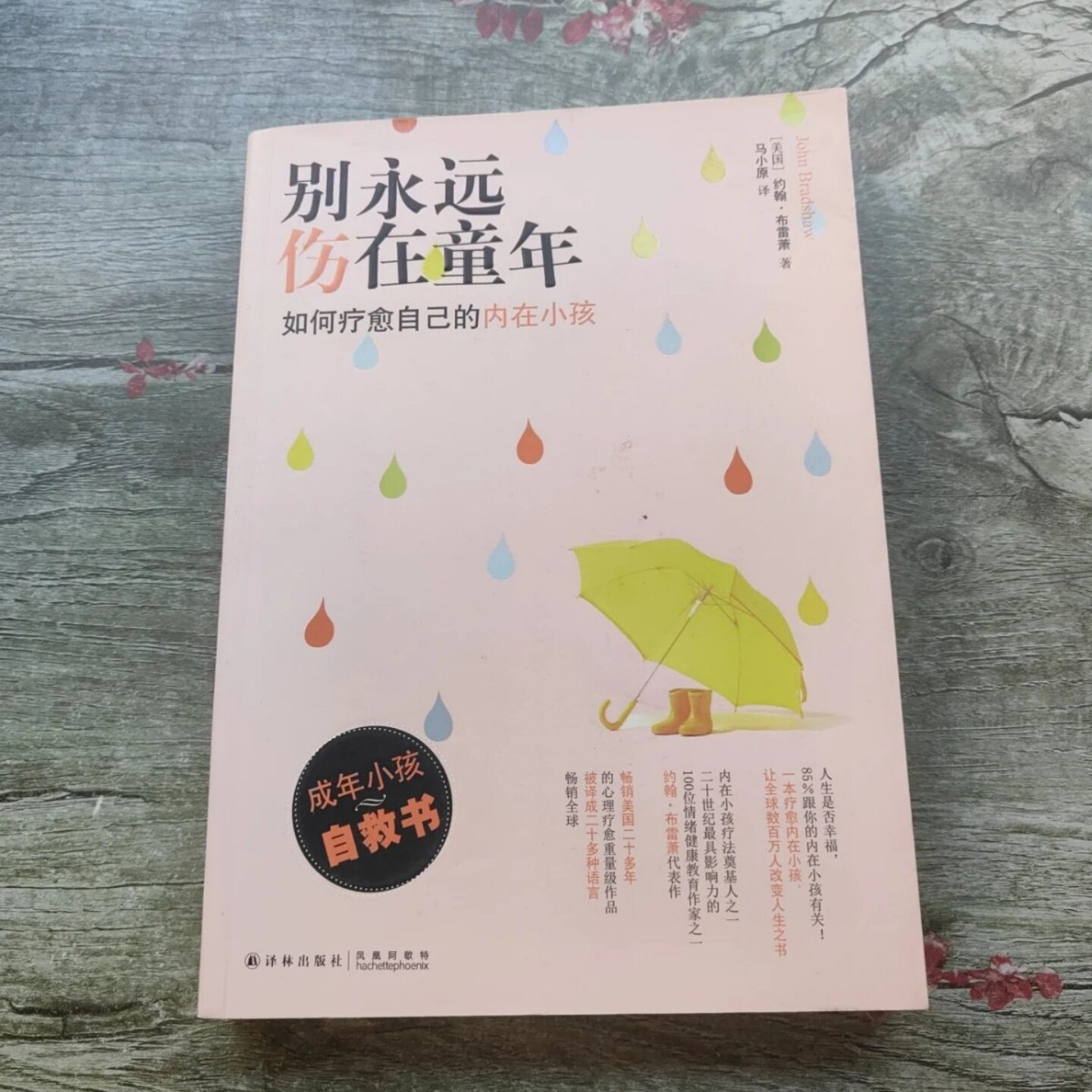 正版旧书 别永远伤在童年：如何疗愈自己的内在小孩 [美]约翰&middot;布雷萧 著；马小原 译 译林出版社 2015