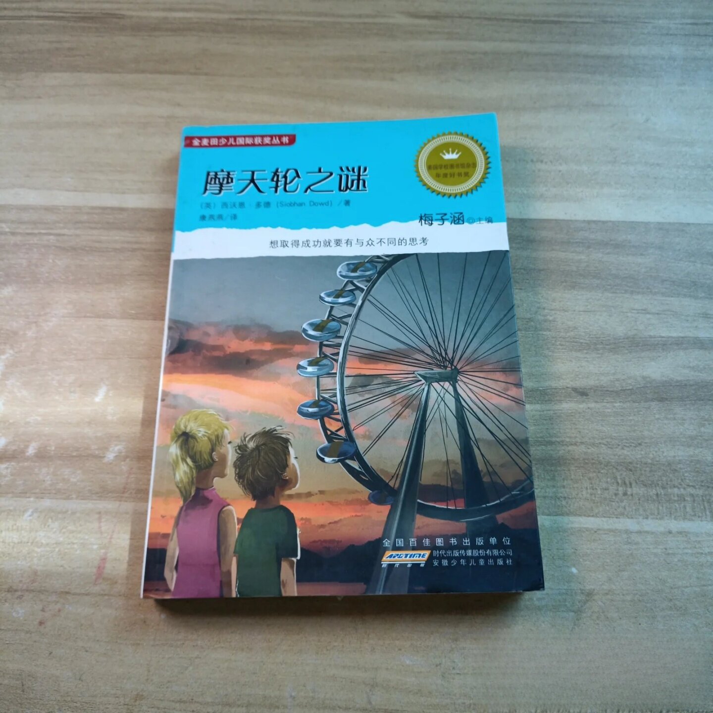 正版旧书 摩天轮之谜 梅子涵 著 安徽少年儿童出版社 2013-08