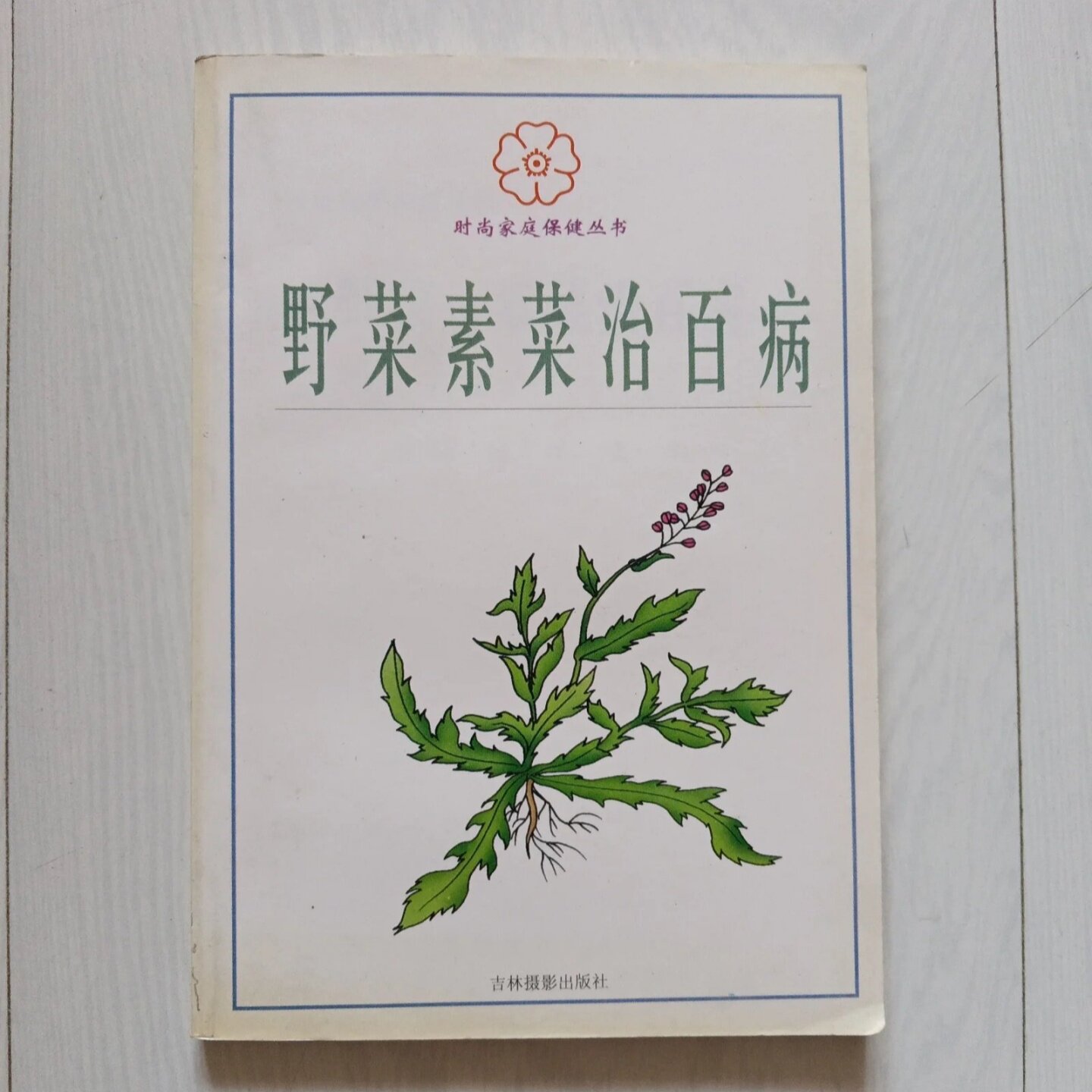 正版旧书 野菜素菜治百病 时尚家庭保健丛书 徐亚璞 晓文 主编 吉林摄影出版社 2000