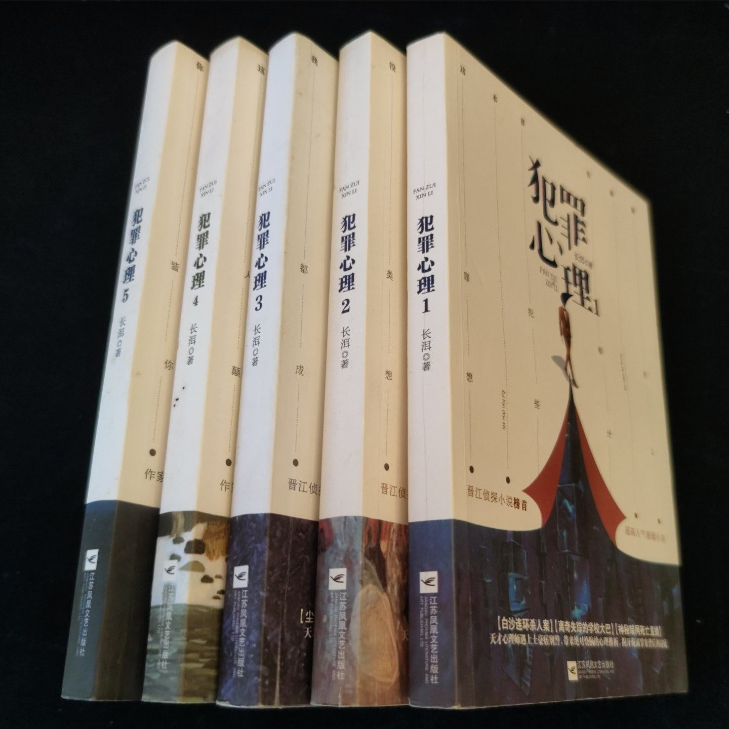 正版旧书犯罪心理（1-5册全）江苏凤凰文艺出版社长洱2018原版