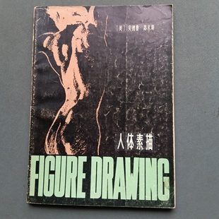 美 安德鲁.路米斯 1982 旧书 社 人体素描 辽宁美术出版 正版 著