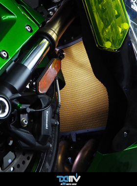 德国 DIMOTIV KAWASAKI 川崎 H2 SX 基本款散热水箱护网 DMV