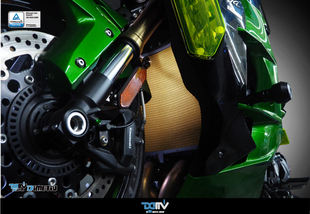 川崎 DMV 德国 KAWASAKI 基本款 散热水箱护网 DIMOTIV