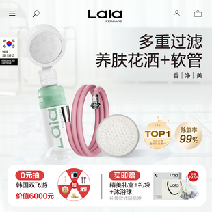 美国旅行酒店浴室过滤增压花洒套装软管花洒喷头水龙头过滤器滤芯