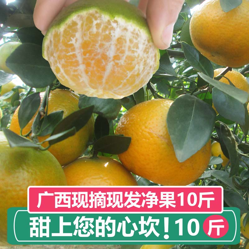 广西武鸣沃柑皇帝柑大果新鲜正宗现摘应季水果桔蜜橘子10斤包邮5