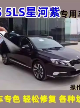 DS5LS星河紫色汽车自喷漆补漆笔划痕修复车漆漆面喷漆修复金属漆