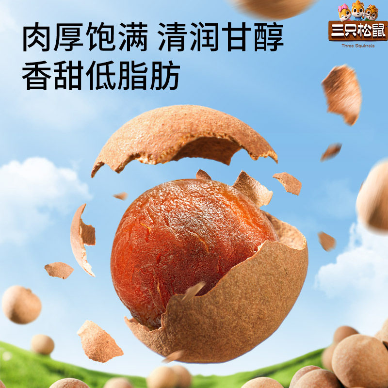 三只松鼠_桂圆干500g送礼龙功能饮料/运动蛋白饮