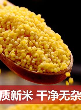 山西特产黄小米新米月子米宝宝米杂粮小黄米米脂小米粥多规格可选