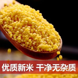 山西特产黄小米新米月子米宝宝米杂粮小黄米米脂小米粥多规格可选