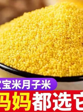 山西黄小米杂粮农家小米半斤新米 黄小米孕妇宝宝吃小黄米多规格