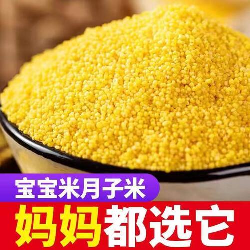 山西黄小米杂粮农家小米半斤新米 黄小米孕妇宝宝吃小黄米多规格