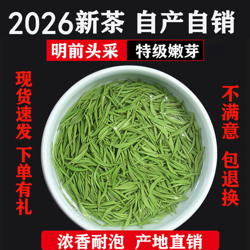 信阳毛尖2026特级自产自销散装