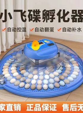 小飞碟孵化器孵化机暖福宝简单