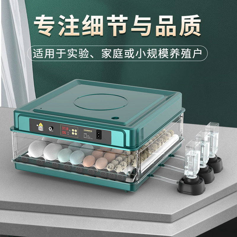 孵化器暖福宝特惠价芦丁鸡
