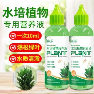 水培植物专用营养液富贵竹转运竹巴西木郁金香绿萝铜钱草通用肥料