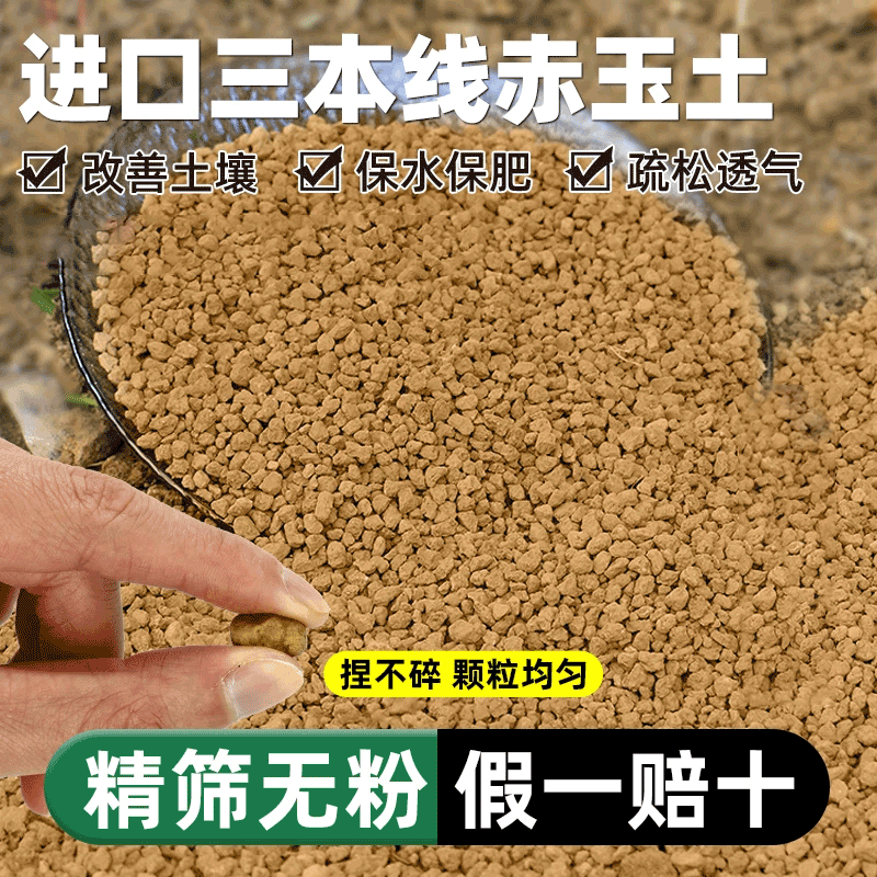 日本赤玉土三本线正品多肉颗粒土盆景专用铺面硬质营排水透气保湿,鲜花速递/花卉仿真/绿植园艺,介质/营养土,淘宝优惠券,粉丝福利购,淘宝优惠卷