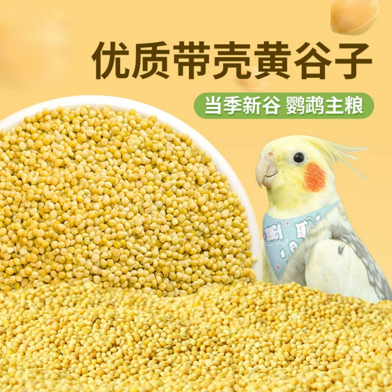鹦鹉专用新黄谷子带壳小米玄凤虎皮牡丹鸟粮饲料粮食珍珠文鸟鸟食