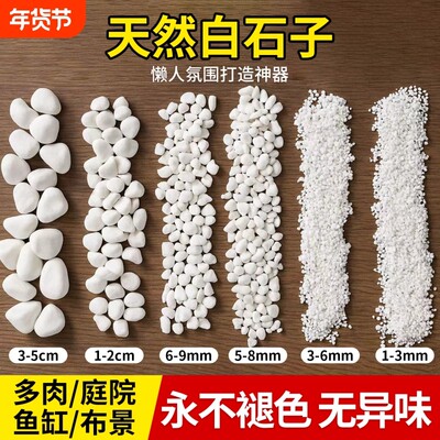 小白石子庭院造景鱼缸鹅卵石天然颗粒原石养花多肉盆栽装饰铺面石