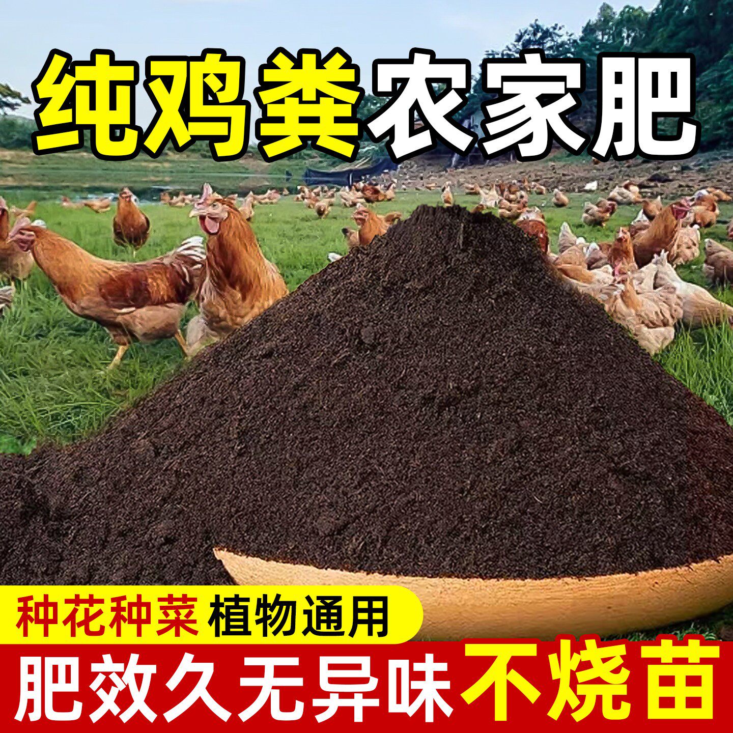 鸡粪发酵有机肥料蔬菜专用100斤鸡粪纯干农家粪种菜通用鸡粪肥料