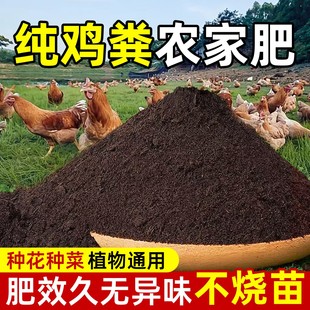 鸡粪发酵有机肥料蔬菜专用100斤鸡粪纯干农家粪种菜通用鸡粪肥料