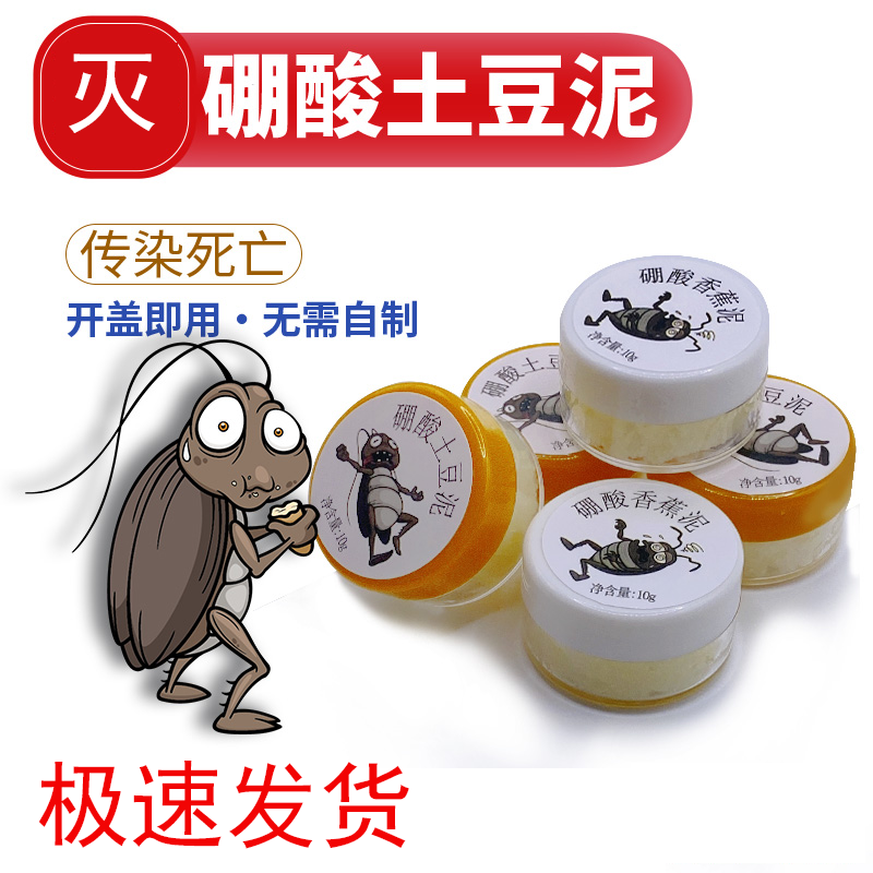 【土豆泥粉】蟑螂药家用餐厅衣柜