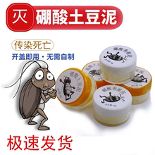 硼酸土豆泥粉餐厅饭店蟑螂药硼砂家用室内用全锅端厨房专用衣柜剂