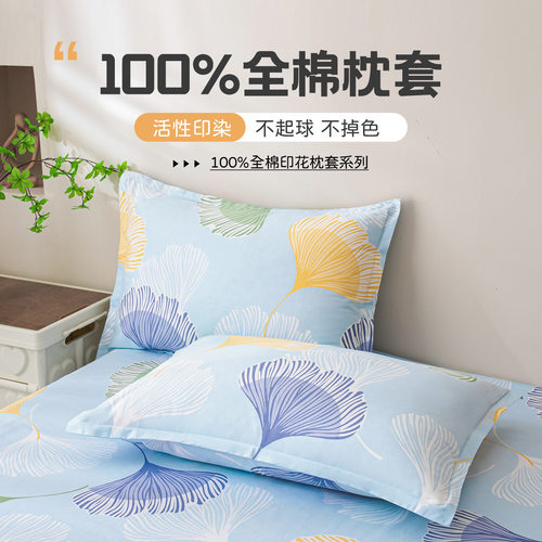 2025新款纯棉枕套一对装乳胶48cmx74cm枕头套全棉单个枕芯内胆套