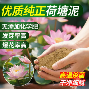 荷花泥荷塘泥天然碗莲睡莲专用泥铜钱草水生植物淤泥河泥营养泥土