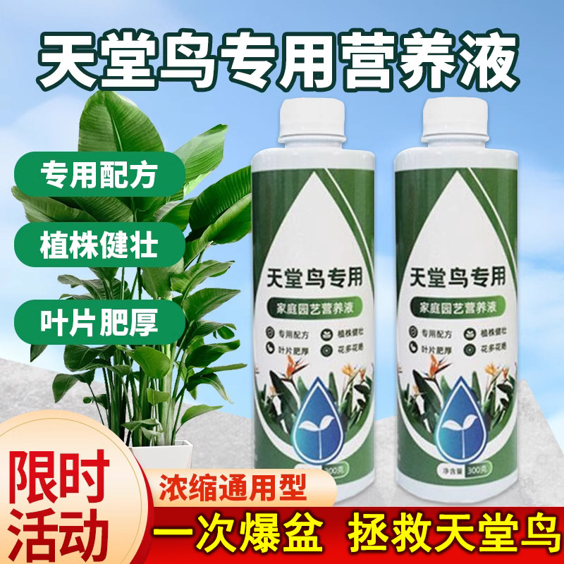 天堂鸟专用肥料黄叶卷边养花营养液叶子发黄家用室内盆栽植物花肥,鲜花速递/花卉仿真/绿植园艺,家庭园艺肥料,淘宝优惠券,粉丝福利购,淘宝优惠卷