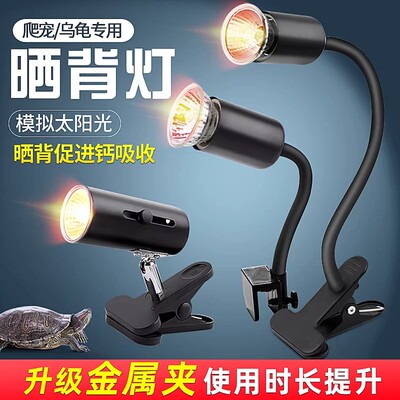 乌龟爬宠晒背灯uva取暖uvb