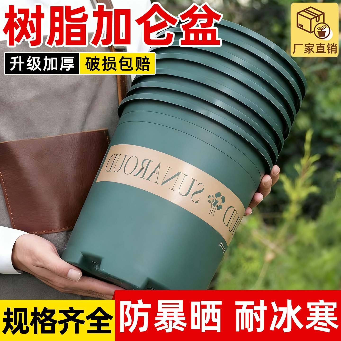 【10个】花盆塑料加厚新款矮胖加仑盆树脂盆绿萝多肉月季家用透气,鲜花速递/花卉仿真/绿植园艺,花盆,淘宝优惠券,粉丝福利购,淘宝优惠卷