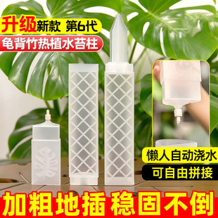 龟背竹水苔柱支撑杆新型植物热植专用可拼接固定神器攀爬柱水台柱