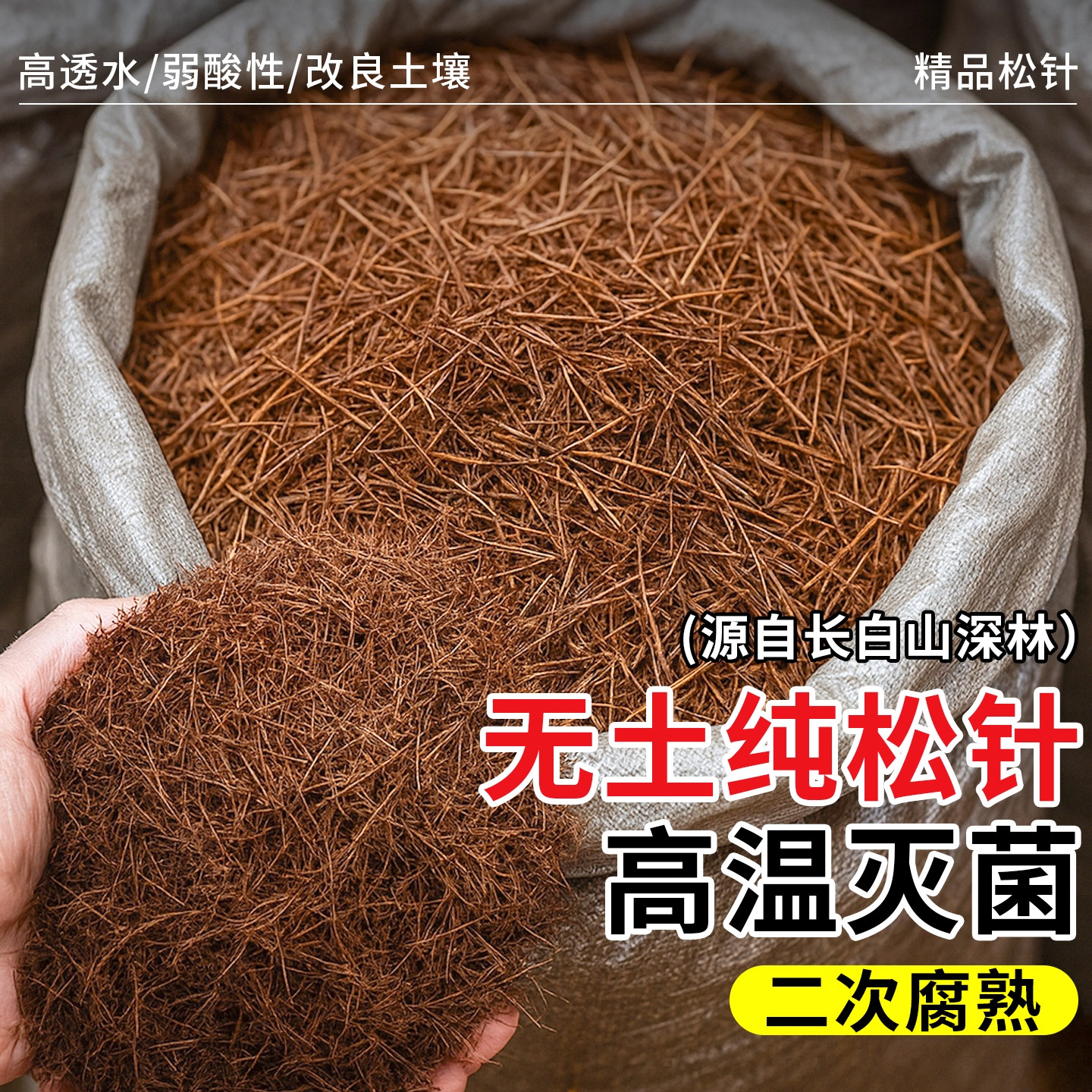 纯松针腐殖土君子兰专用土松针腐叶土腐熟透气兰花天然腐叶松针土
