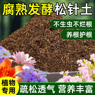 天然松针腐殖土腐叶土发酵腐熟兰花多肉专用营养土养花专用通用土