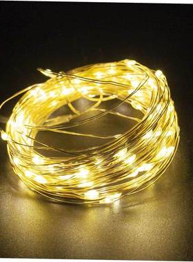 Christmas tree New Year decoration LED Fairy Lights String1