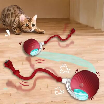Intelligent interactive cat ball long-lasting and durable ea