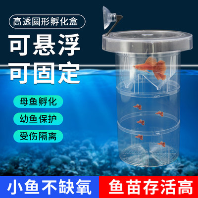 鱼缸隔离盒孔雀鱼繁殖盒