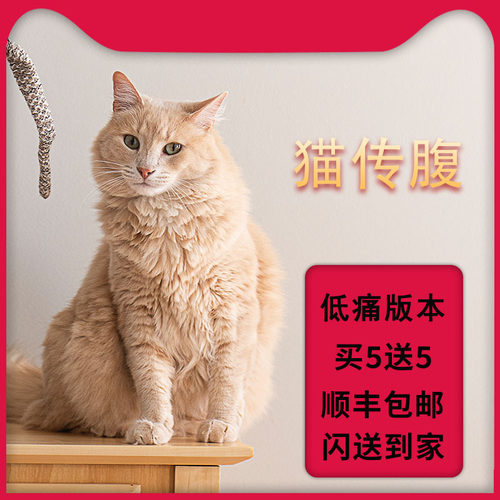 猫传腹抑制剂fipv高浓度营养液
