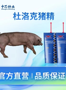 温氏猪精中芯种业商品级制种级育种级猪精杜洛克大白长白