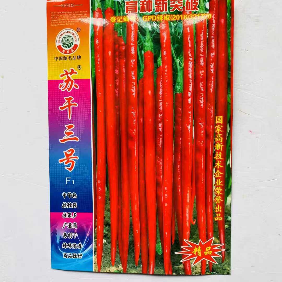 苏干三号辣椒种子中早熟青红长果线椒种籽辣味香浓干椒辣椒蔬菜籽