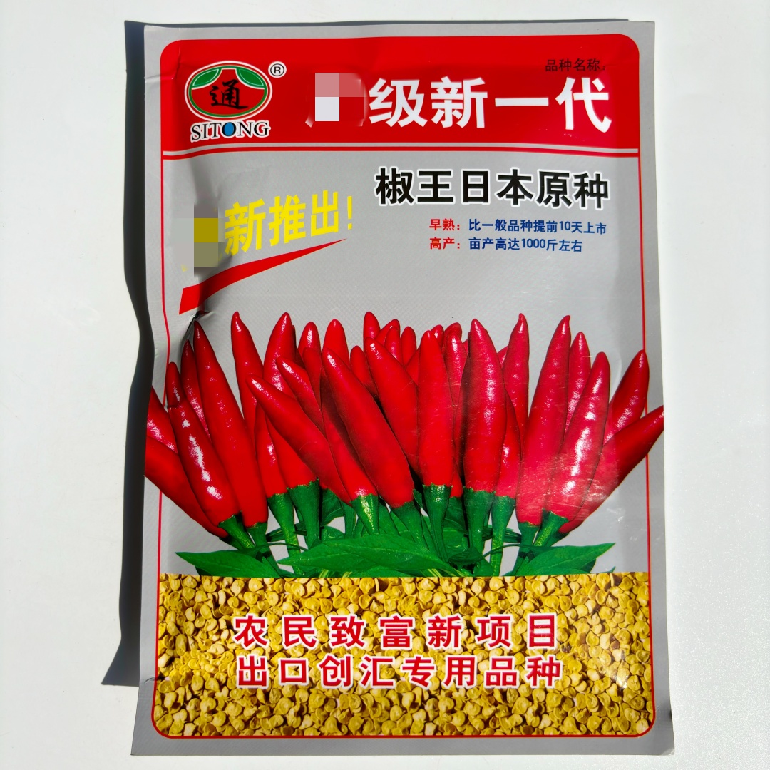 四通椒王日本原种朝天椒种子