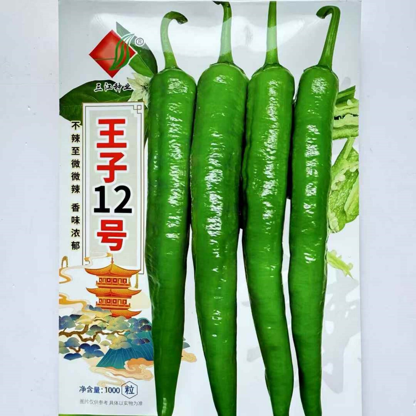 王子12号辣椒种子中早熟青皮微蔬菜种子/种苗